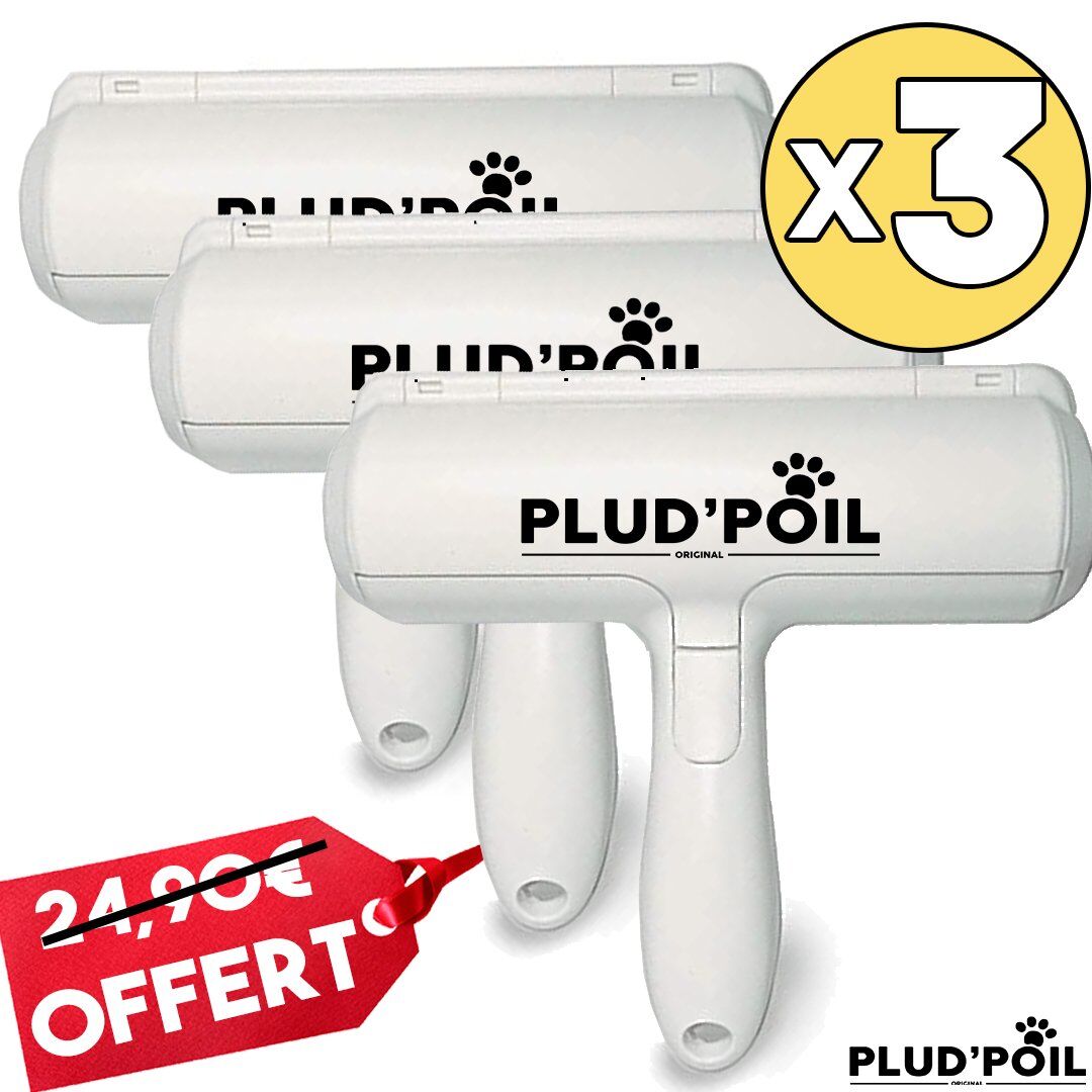 La brosse plud'poil – Image 6
