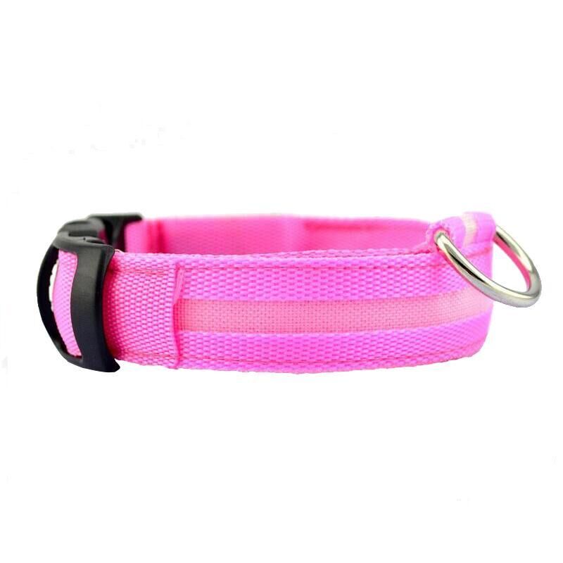 Collier pour chien led - sécurité pour balade nocturne – Image 4