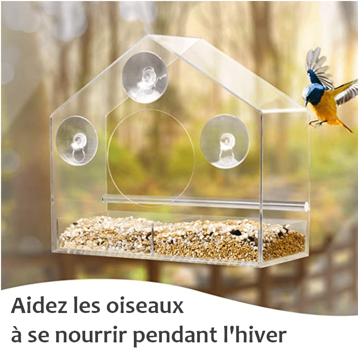 Mangeoire transparente avec ventouses - le moineau – Image 2