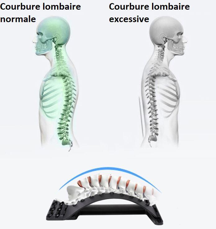 Civière dorsale orthopédique – Image 9