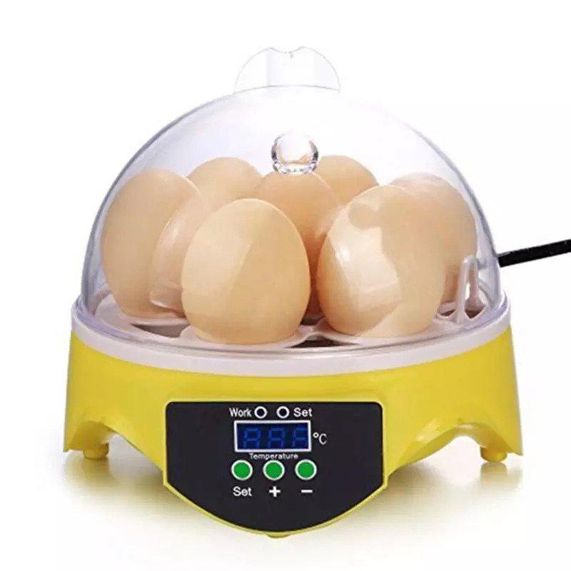 Couveuse incubateur numérique 7 oeufs