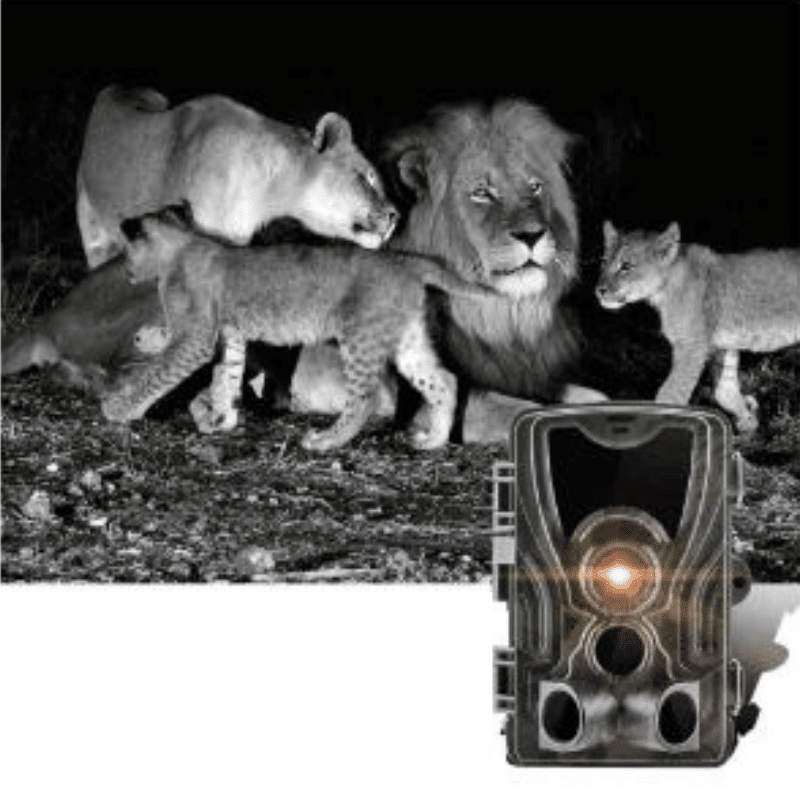 Caméra de chasse, détection de mouvement vision nocturne films des animaux