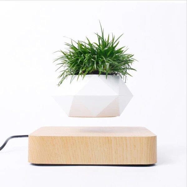 Pot bonsaï à lévitation et rotation magnétique