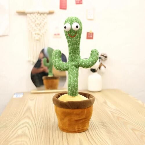 Le cactus dansant – Image 4