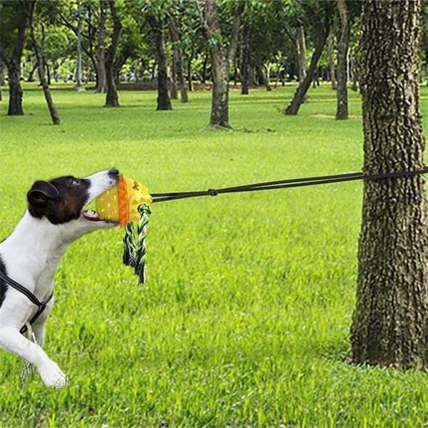 Jouet indestructible pour chien – Image 5
