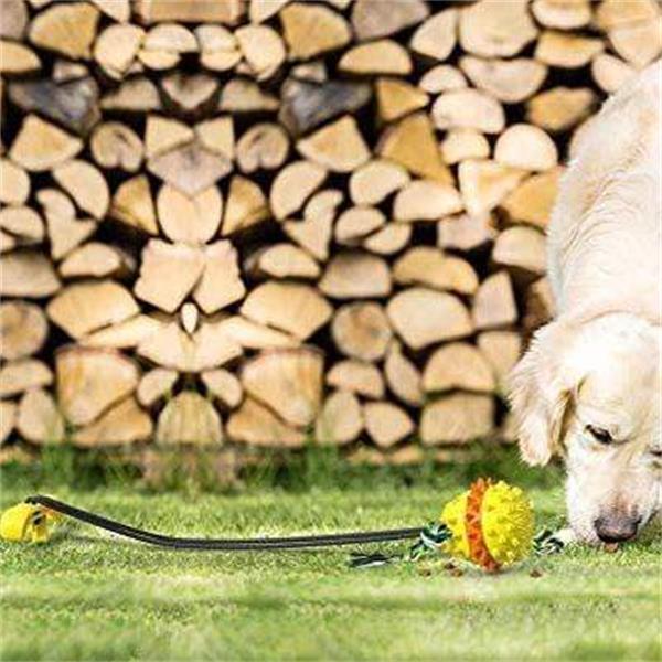 Jouet indestructible pour chien – Image 4