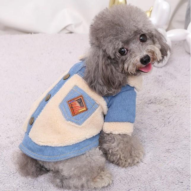 Veste en jeans pour chien – Image 3