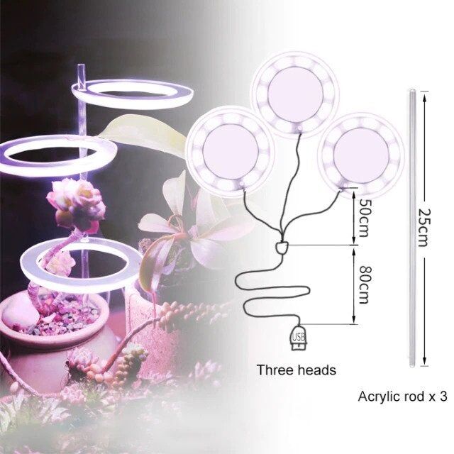 Lampe de croissance Led pour plantes d'intérieur à trois anneaux – Image 7