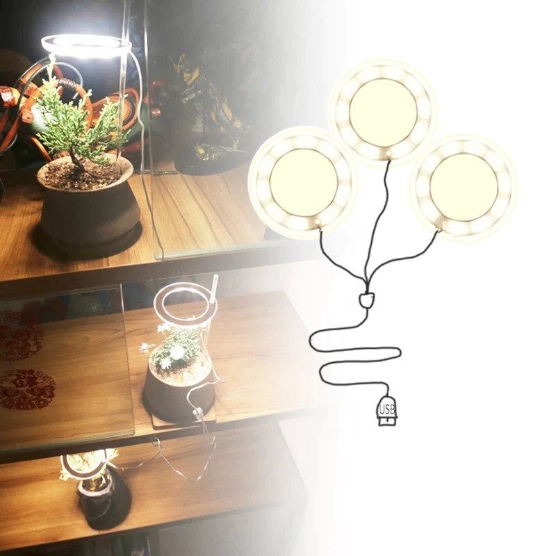 Lampe de croissance Led pour plantes d'intérieur à trois anneaux