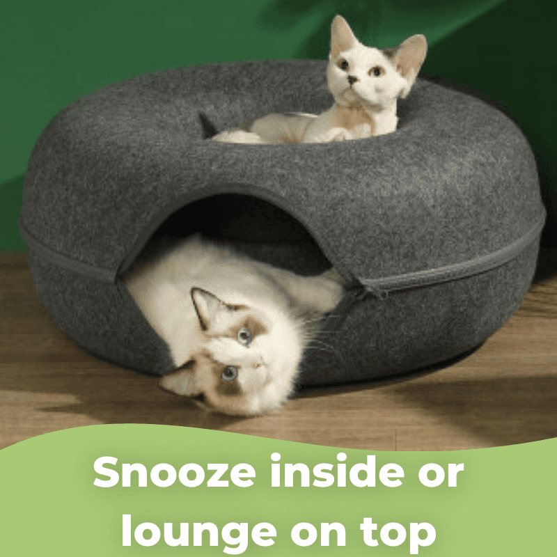 La grotte à chat "Peek-a-boo" avec cloche, jouets interactifs, griffes de broyage, cadre à grimper, jouets pour chats. – Image 4