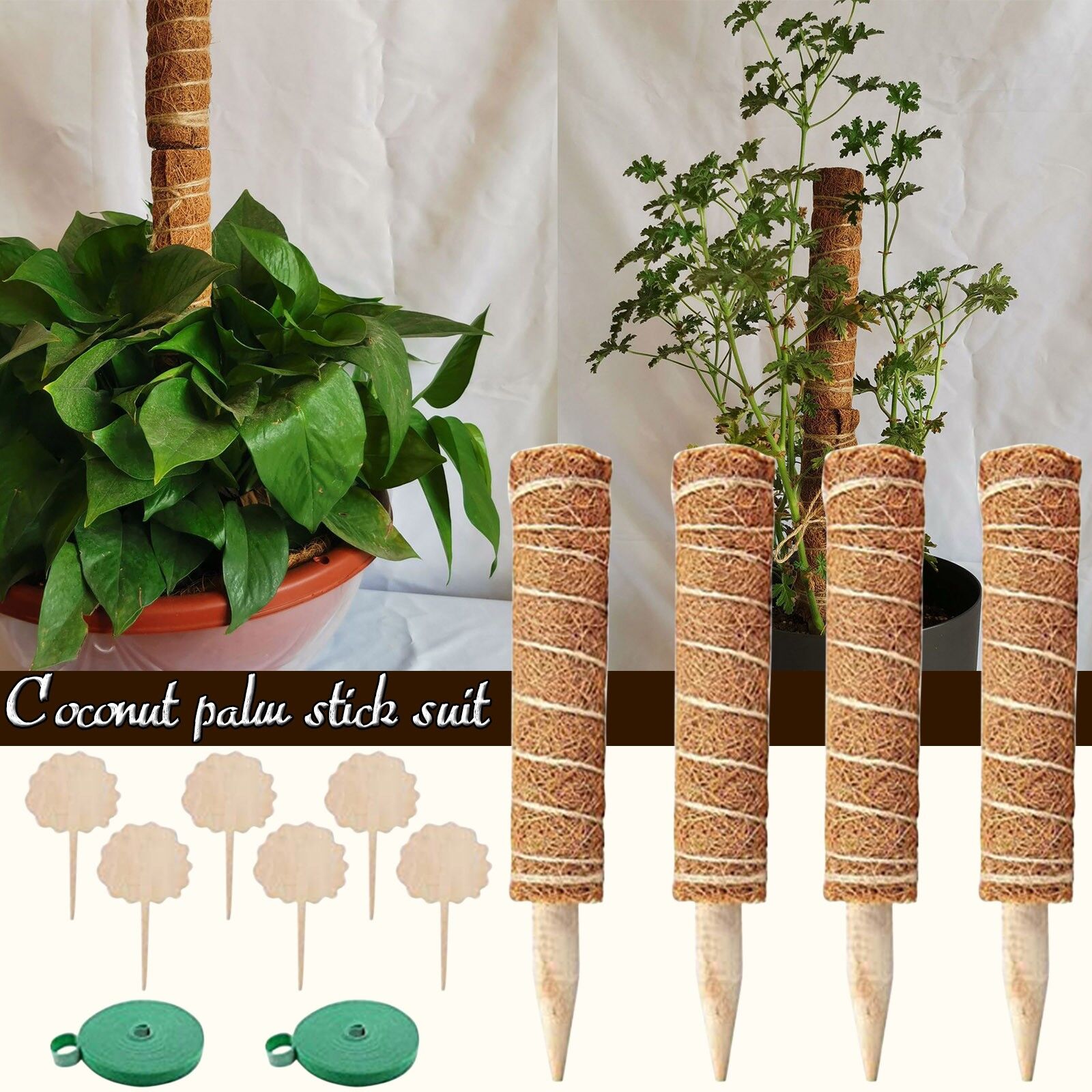 Tuteurs pour plantes Grimpante – Image 4