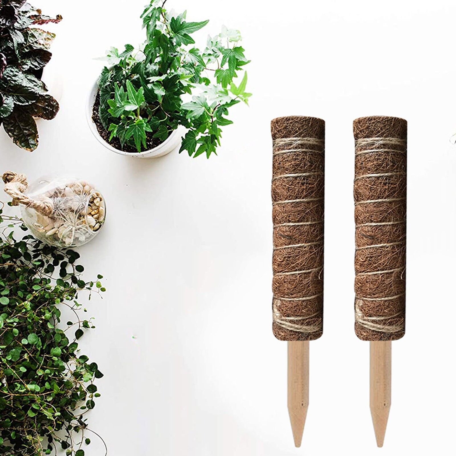 Tuteurs pour plantes Grimpante – Image 2