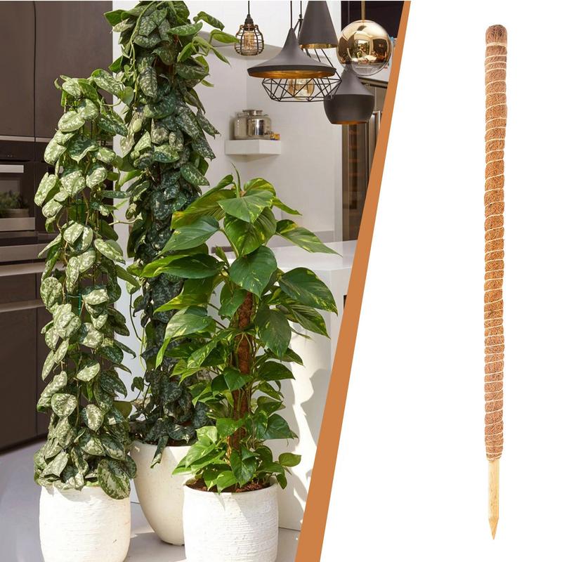 Tuteurs pour plantes Grimpante – Image 6