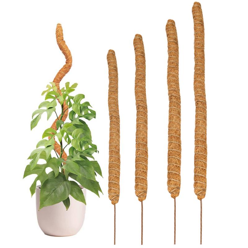 Tuteurs pour plantes Grimpante – Image 9