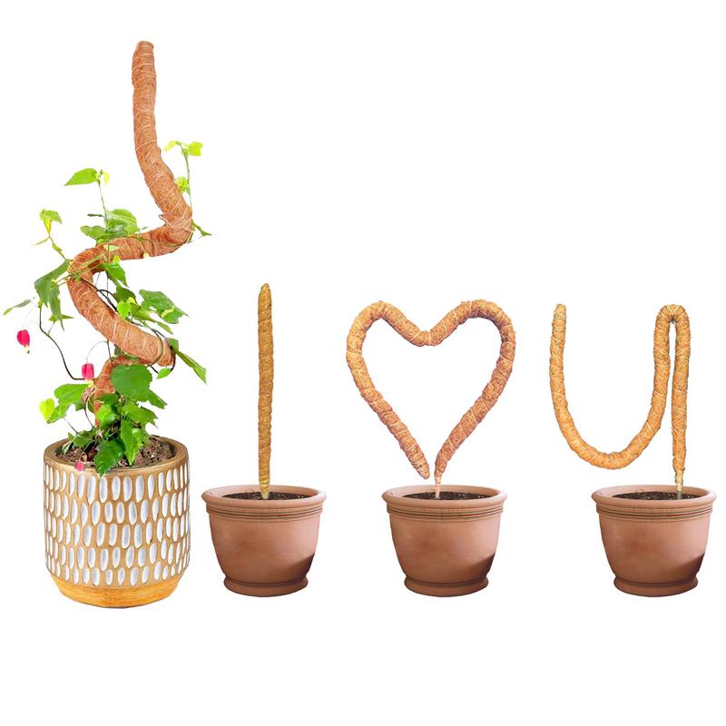 Tuteurs pour plantes Grimpante – Image 13