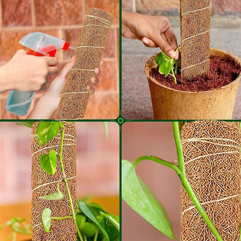 Tuteurs pour plantes Grimpante – Image 8