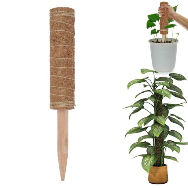 Tuteurs pour plantes Grimpante – Image 10