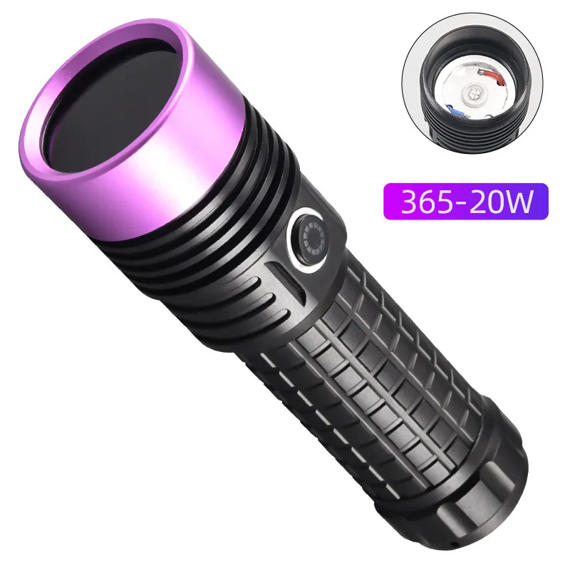 Lampe de poche UV détecteur pour punaise de lit fond blanc