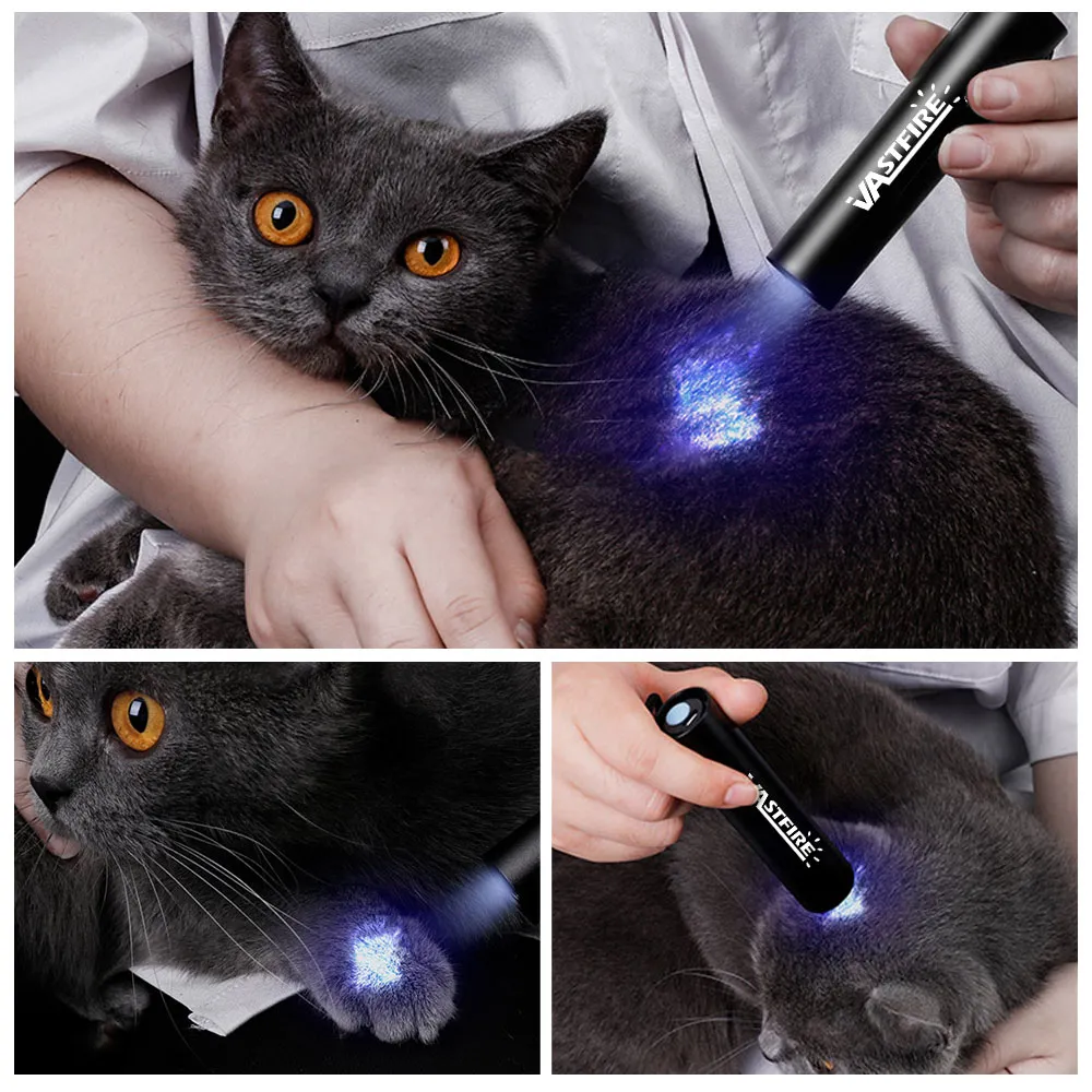 Lampe de poche UV détecteur pour punaise de lit