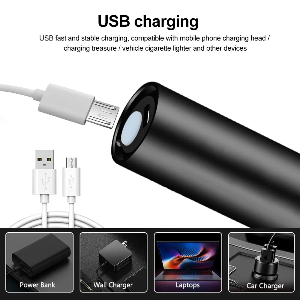 Lampe de poche UV détecteur pour punaise de lit