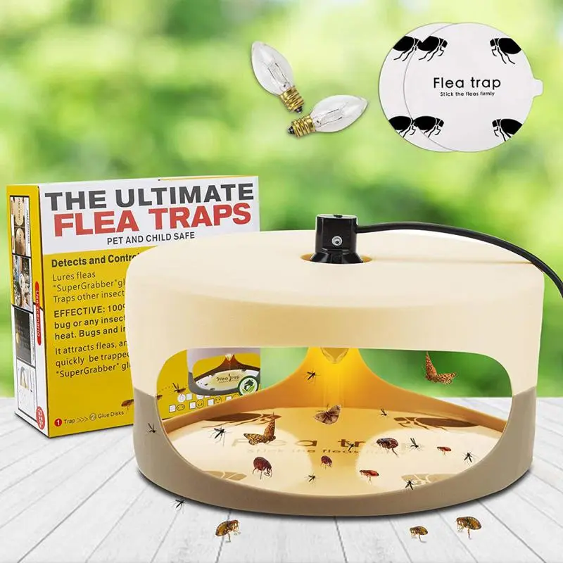 Piège pour punaises de lit avec autocollant naturel – Image 6