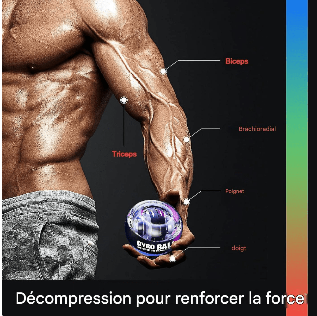 TorqueBall Gyro Ball exercice pour renforcement avant bras poignet avec compteur automatique – Image 3