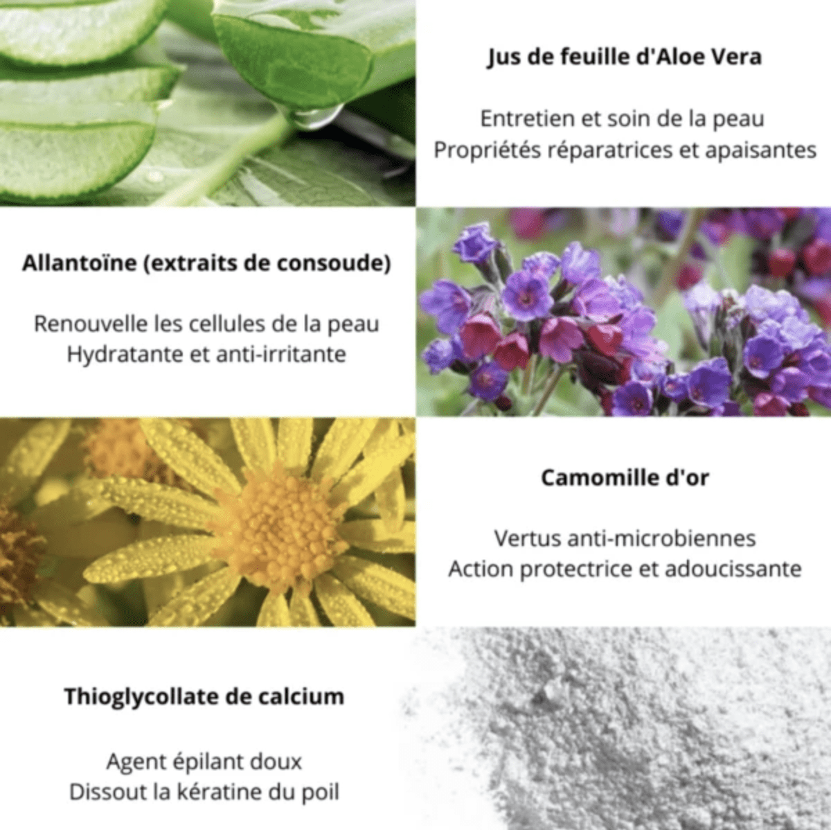 Les ingrédients