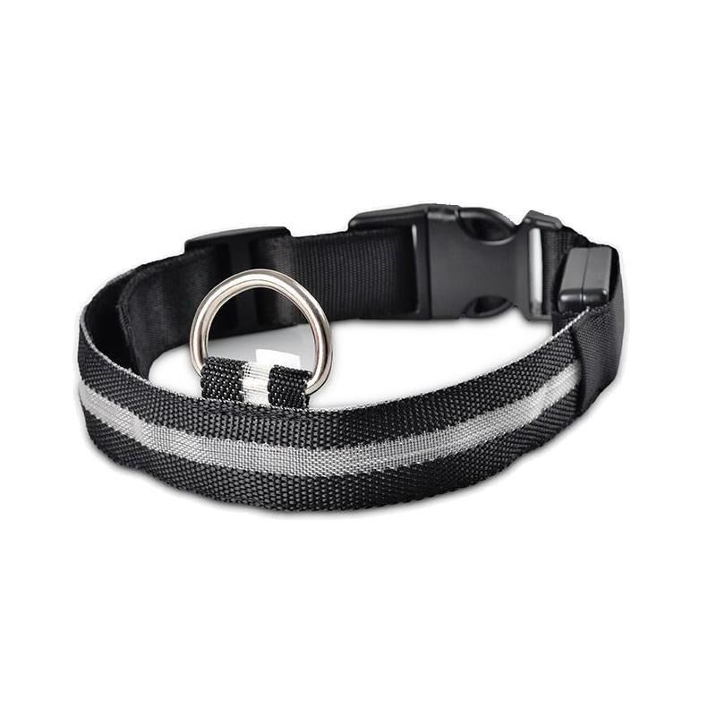 Collier pour chien led - sécurité pour balade nocturne – Image 5