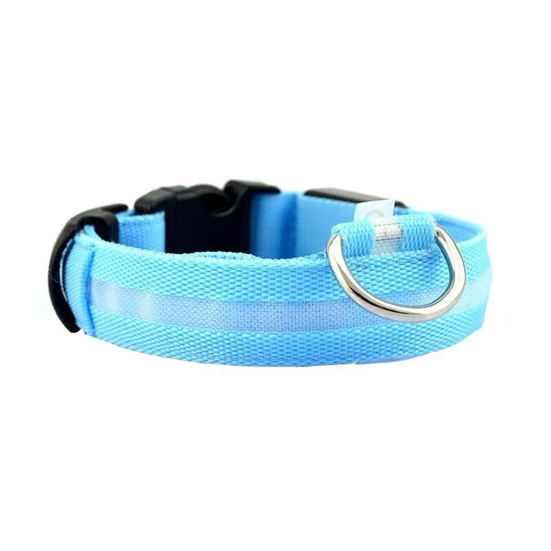 Collier pour chien led