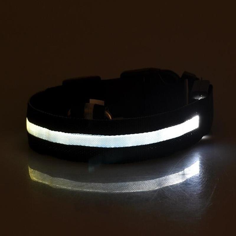 Collier pour chien led - sécurité pour balade nocturne – Image 6