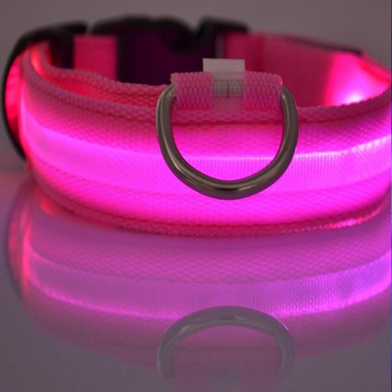 Collier pour chien led - sécurité pour balade nocturne – Image 7