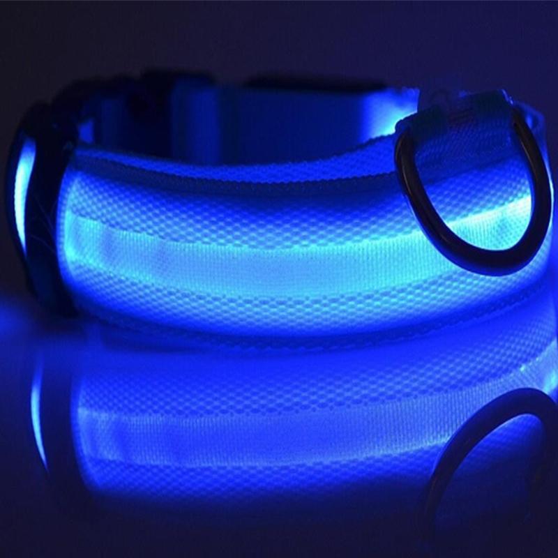 Collier pour chien led - sécurité pour balade nocturne – Image 8
