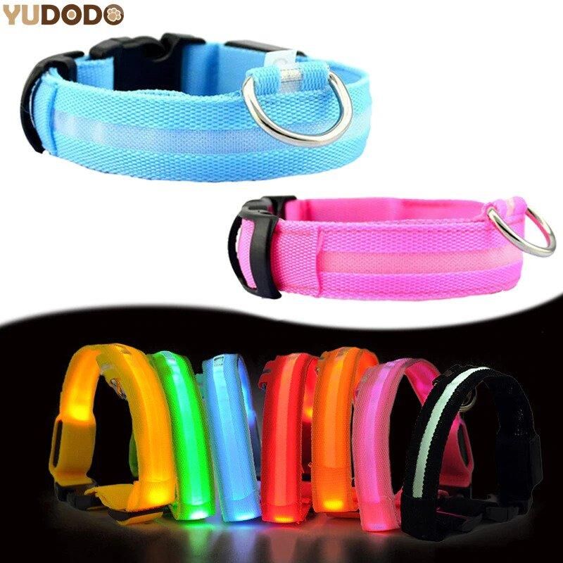 Collier pour chien led - sécurité pour balade nocturne – Image 3