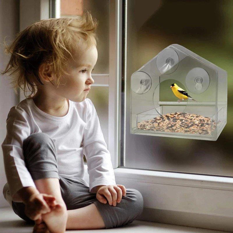 Mangeoire transparente avec ventouses - le moineau – Image 3