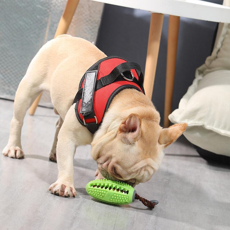 Brosse à dents pour chien