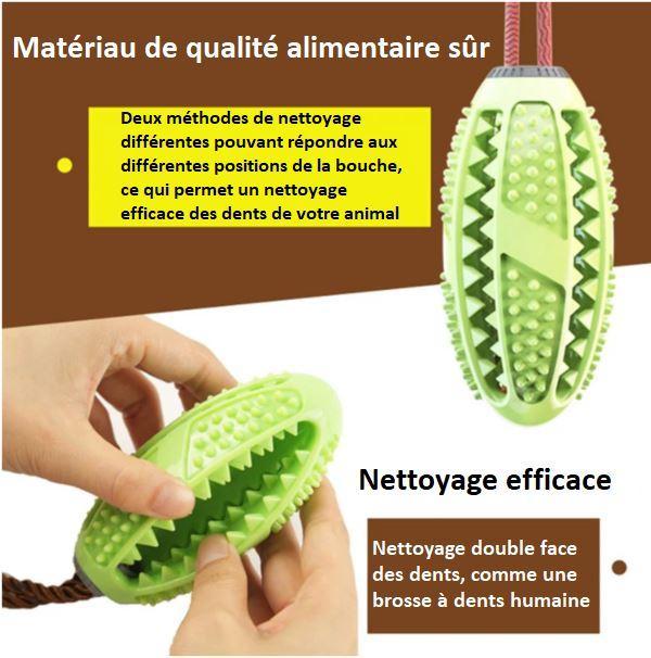 Brosse à dents pour chien