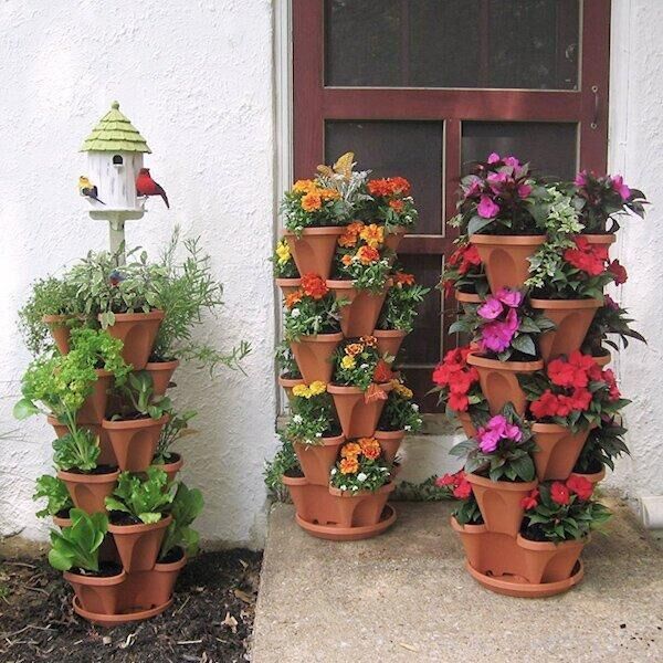 Pots de plantation de fraises – Image 2