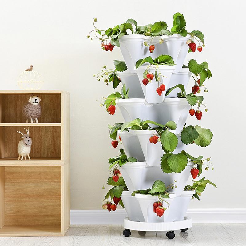 Pots de plantation de fraises – Image 3