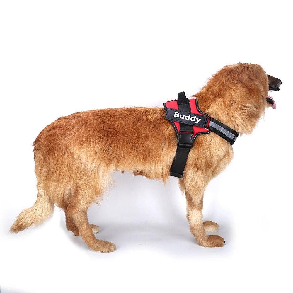 Harnais réfléchissant et personnalisable pour chien – Image 8