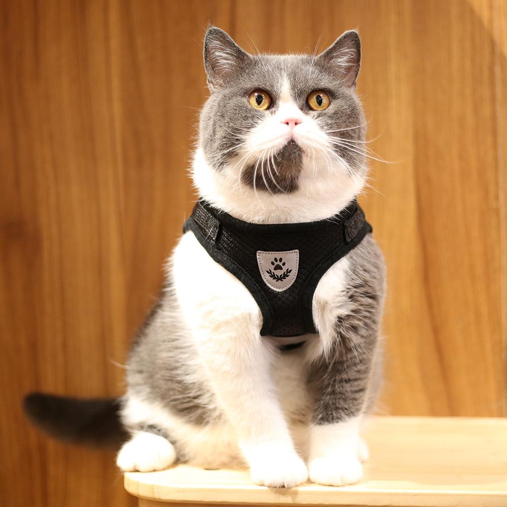 Harnais réglable et respirant pour animaux de compagnie – Image 5