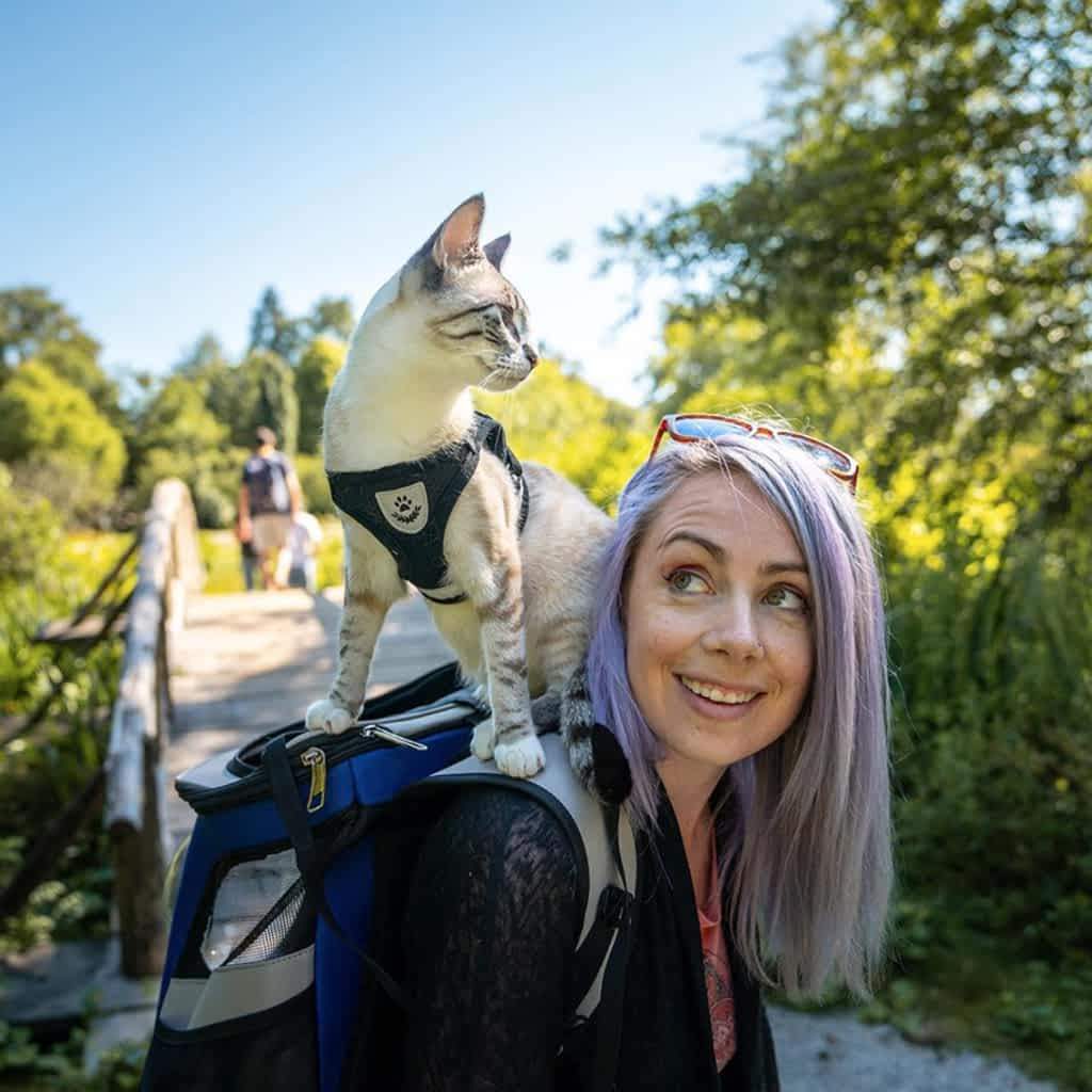 Harnais réglable et respirant pour animaux de compagnie – Image 4