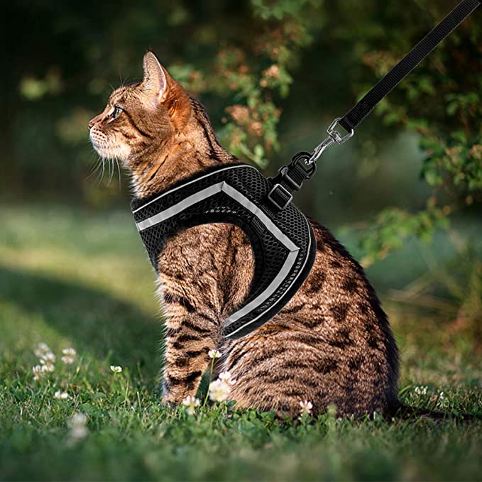 Harnais réglable et respirant pour animaux de compagnie – Image 6