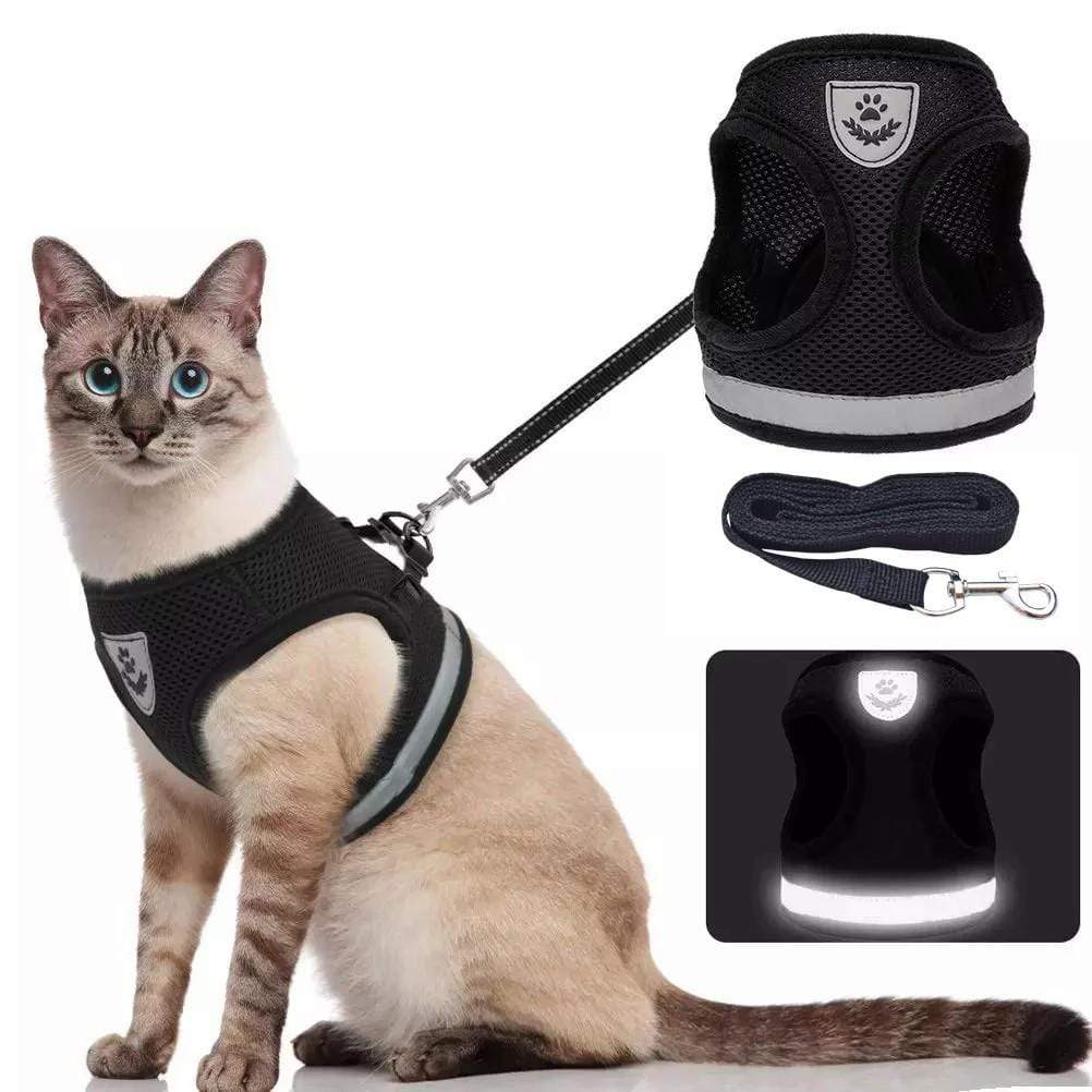 Harnais réglable et respirant pour animaux de compagnie – Image 2
