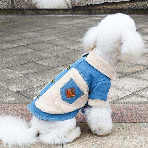 Veste en jeans pour chien – Image 8