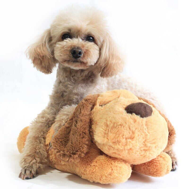 Jouet pour chiot – Image 4
