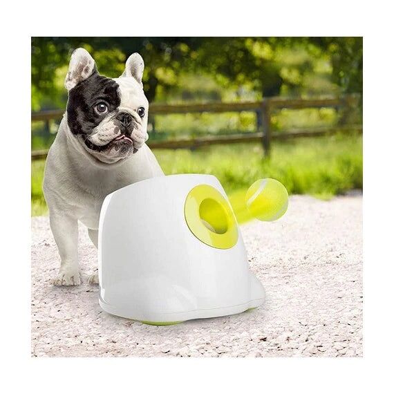 Jouet pour chien Lanceur automatique de balles de tennis – Image 7