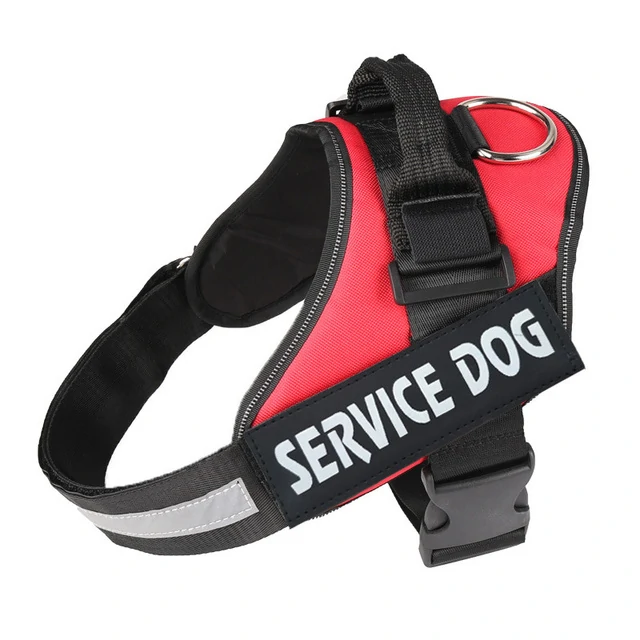 Harnais pour chien personnalisé – Image 4