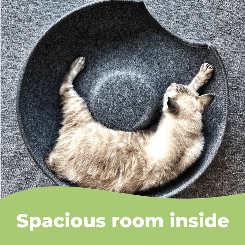 La grotte à chat "Peek-a-boo" avec cloche, jouets interactifs, griffes de broyage, cadre à grimper, jouets pour chats. – Image 7