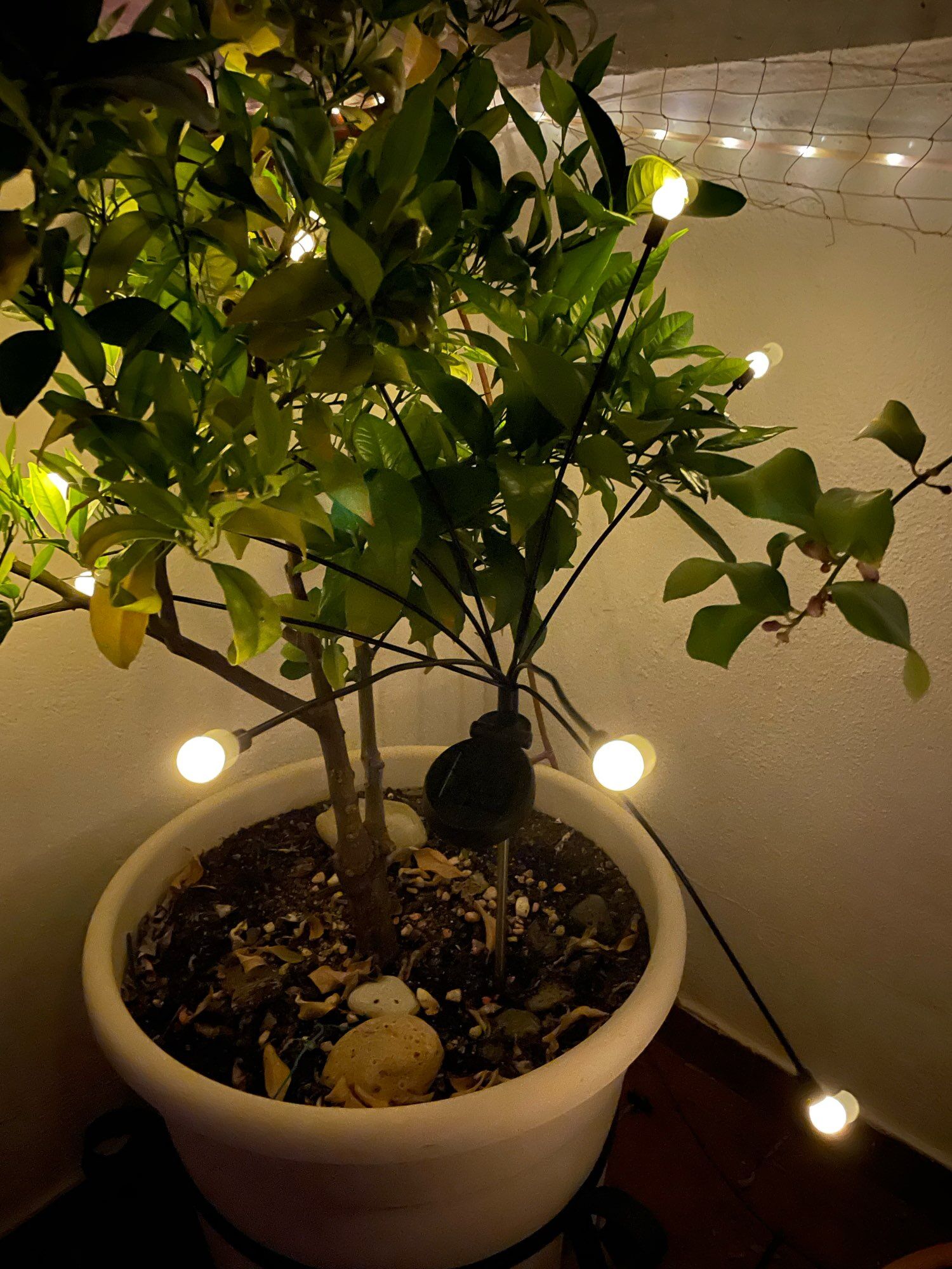 2 lampes solaires de jardin en forme de globe LED à énergie solaire étanches – Image 6