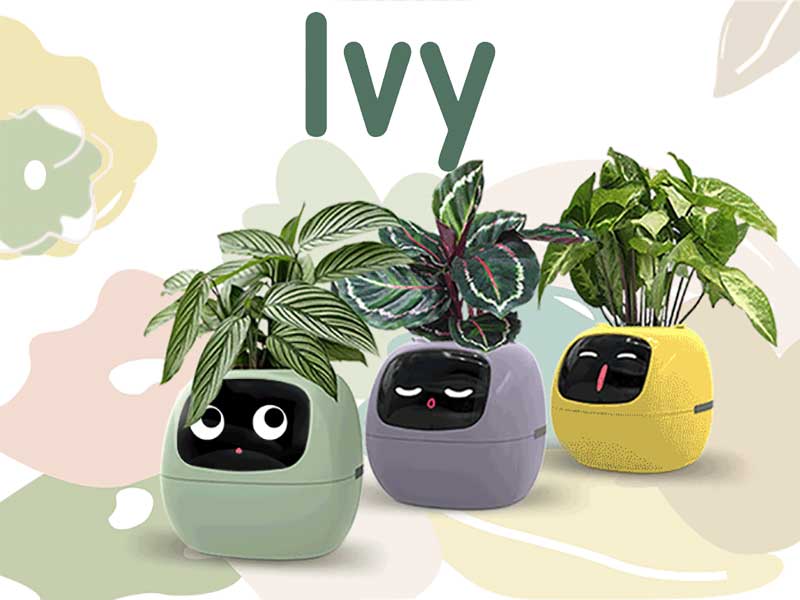 Pot Connecté Intelligent – Image 3